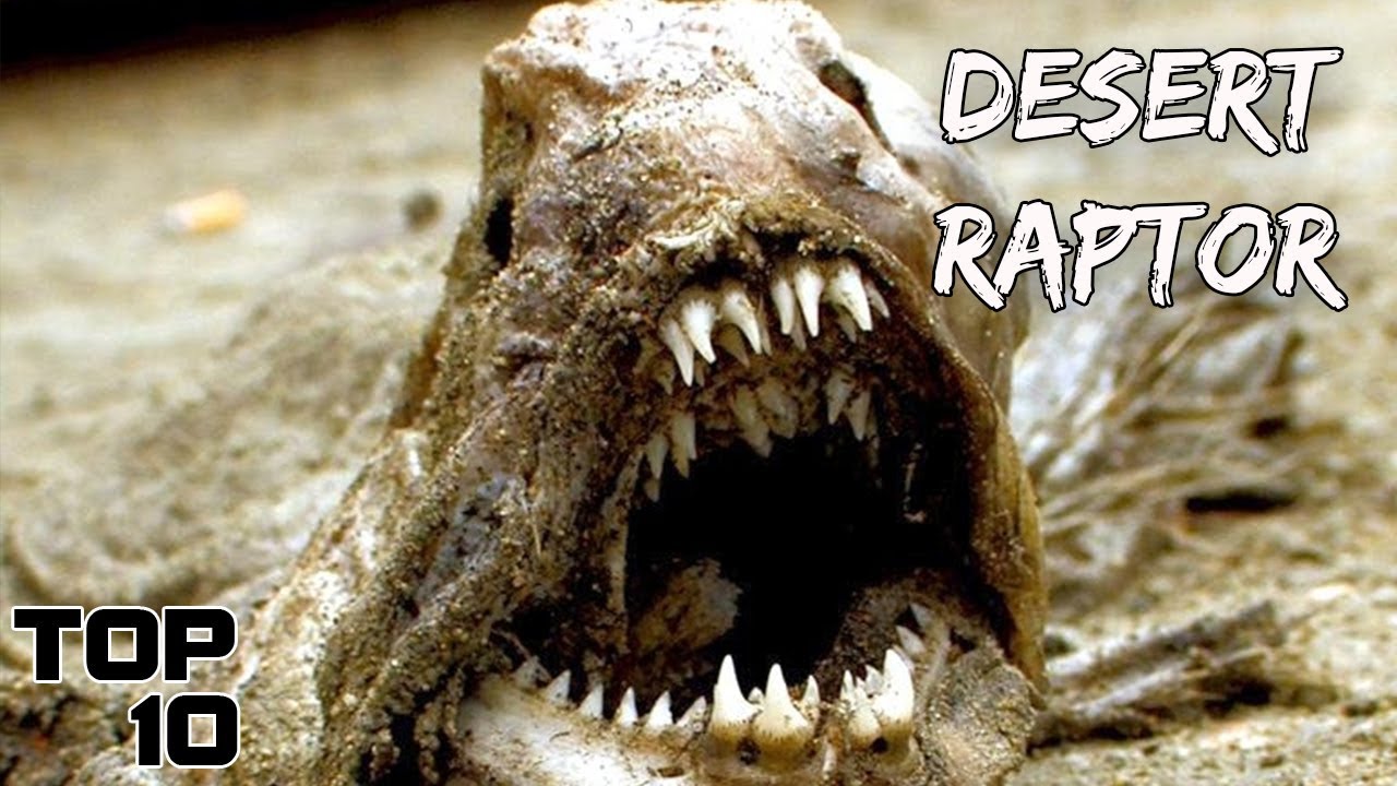 Top 10 Scary Things Found In The Desert Netizen Pinoy